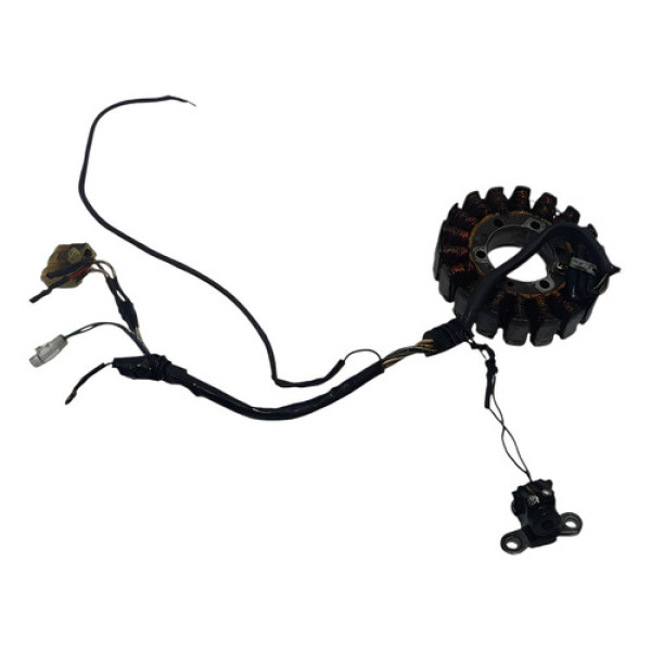 Estator Yamaha Xt 660r 05/18 Original