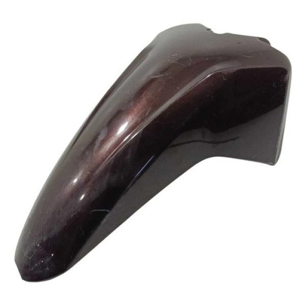 Paralama Dianteiro Honda Biz 125 18/24 Original 0