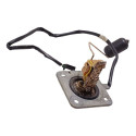 Boia Tanque Combustivel Honda Cb 300r 09/15 Original