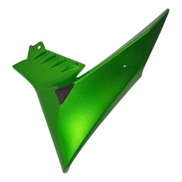 Carenagem Acabamento Aba Esquerda Kawasaki Z900 21 Original Verde