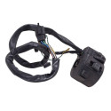 Punho Chave Luz Honda Cg Fan 125 09/13 Original