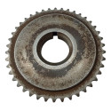 Engrenagem Corrente Chevrolet Captiva 2.4 2009 2010