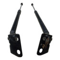 Par Amortecedor Capo Parabrisa Chevrolet Captiva 2009 2010 