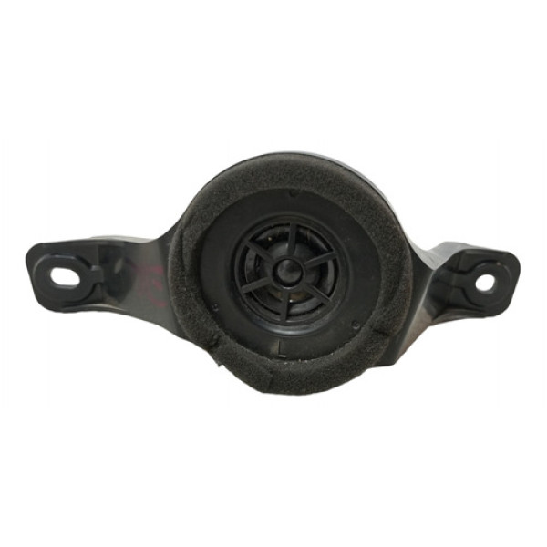 Twitter Porta Diant Esquerda Toyota Rav4 2009 2010 2011  Preto