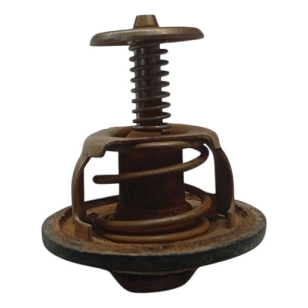 Valvula Termostatica Peugeot 307 2010 2011