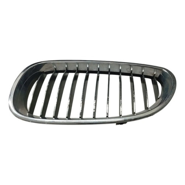 Grade Dianteira Esquerda Bmw 530i 3.0 2006 2007 Detalhe