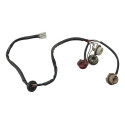 Chicote Lanterna Jac J6 2012 2013