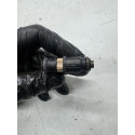 Bico Injetor Renault Duster 2.0 16v 166009398r