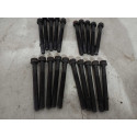 20 Parafuso Da Gaiola Comando Fiat Brava 1.6 16v 2003