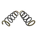 Par Molas Dianteira Renault Duster 1.6 2014 2015 2016 2017