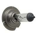 Kit 10 Lâmpadas Automotiva Halógena H7 12v 55w 8500k