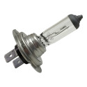 Kit 10 Lâmpadas Automotiva Halógena H7 12v 55w 8500k