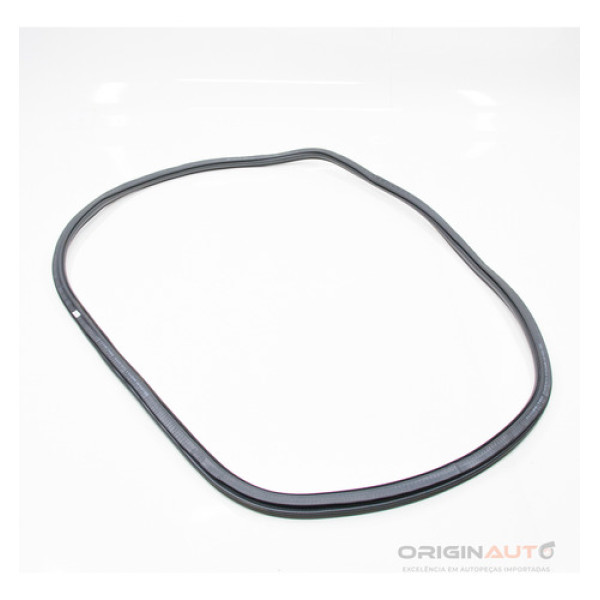 Borracha Porta Dianteira Audi A4 2.0 B9 2018 8w0831721