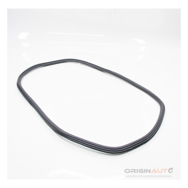 Borracha Porta Traseira Audi A4 2.0 B9 2018 8w5833721