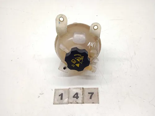 Reservatorio Agua Radiador Fiat Pulse 2021 A 2024 147 