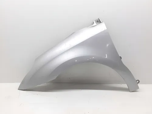 Paralama Esquerdo Citroën C4 2007 A 2012
