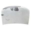 Capo Duster Oroch 2012 2013 2014 2015 A 2019 Original