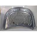 Capo Byd King 2024 2025 2026 Original