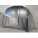 Capo Byd King 2024 2025 2026 Original