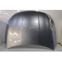 Capo Byd King 2024 2025 2026 Original