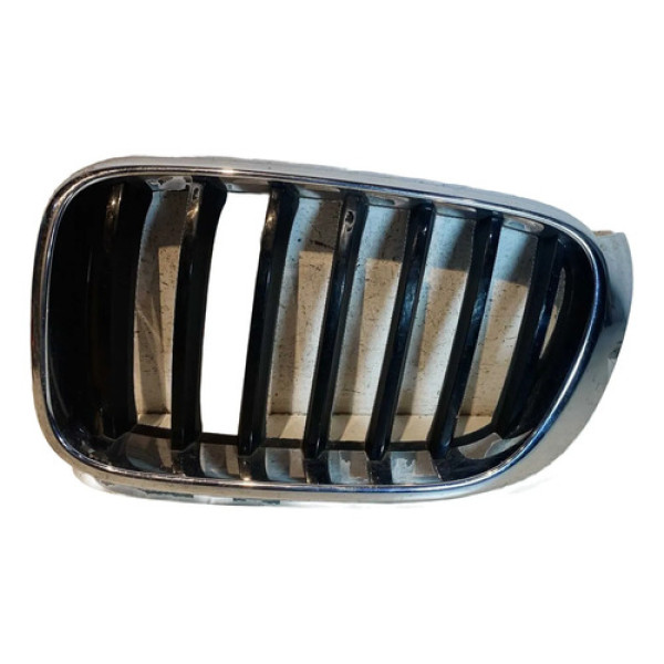 Grade Dianteira Parachoque Bmw X3 X4 F25 F26 2010/2017 L.e Prateado Brilhante