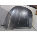 Capo Byd King 2024 2025 2026 Original