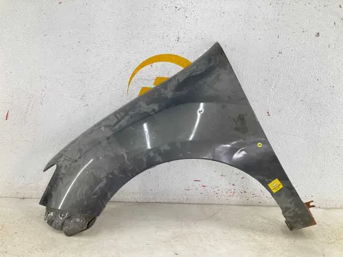 Paralama Renault Sandero L.e 2015 2016 2017 2018 A 2020 / Or