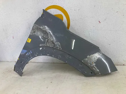 Paralama Fiat Pulse 2022 2023 2024 L.d Original
