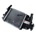 Radiador Água Honda Pcx 150 2016 A 2019 Original