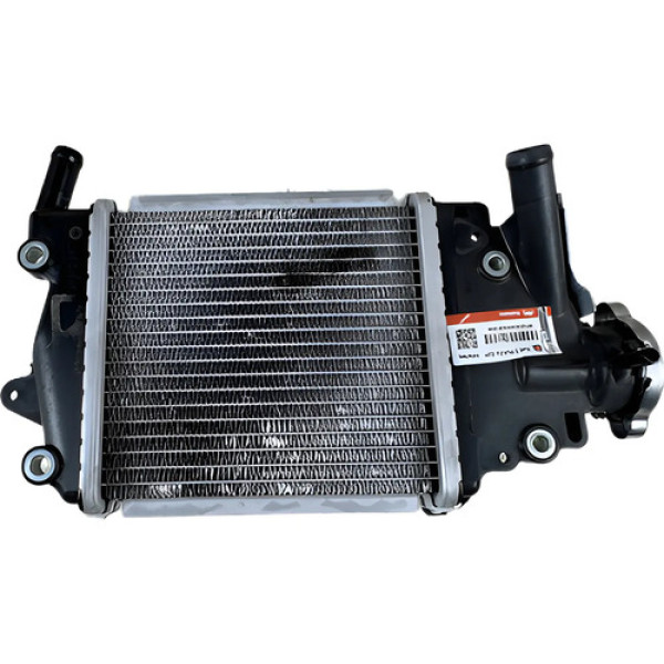 Radiador Água Honda Pcx 150 2016 A 2019 Original