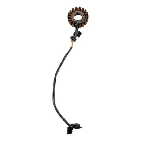 Estator E Bobina Regal Raptor Mvk Black Jack 06/2012