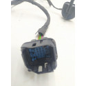 Chicote Porta Traseira Direita Renegade Flex 2020