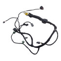 Chicote Porta Traseira Esquerda Gm Captiva Sport 2011 3.0