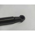 Amortecedor Tampa Porta Malas Bmw 118 I 2012 