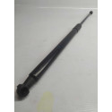 Amortecedor Tampa Porta Malas Bmw 118 I 2012 