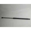 Amortecedor Tampa Porta Malas Bmw 118 I 2012 