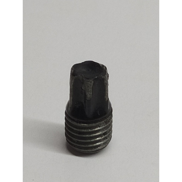 Parafuso Dobradiça Porta Audi A5 2014
