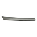 Friso Forro Porta Dianteira Esquerda Chevrolet Captiva 2011