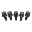 Parafuso Roda Chery Tiggo 3x Plus 1.0 Turbo 2022