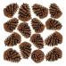 Pinha De Natal Natural Enfeite 20un Pinus Shopping Vitrinism Marrom