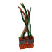 Conector Botão Vidro Eletrico Citroen Xsara Picasso 2004