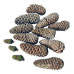 Kit 10 Pinha Natural Mais 3 Mini Pinha Verde Direto Do Sitio Madeira Natural