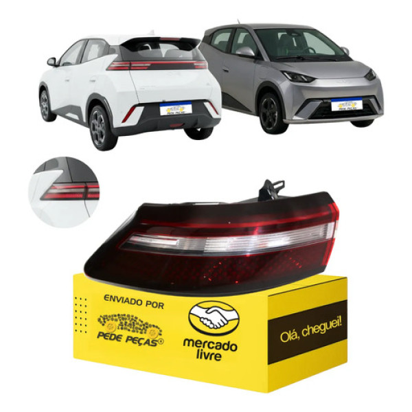 Lanterna Sinaleira Byd Dolphin Mini Gs Ev 2024 A 2027 L.e Esquerdo/motorista Vermelho