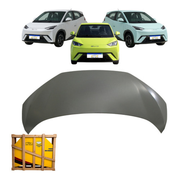 Capo Byd Dolphin Mini 2024 2025 2026 Gs Ev Novo Cinza