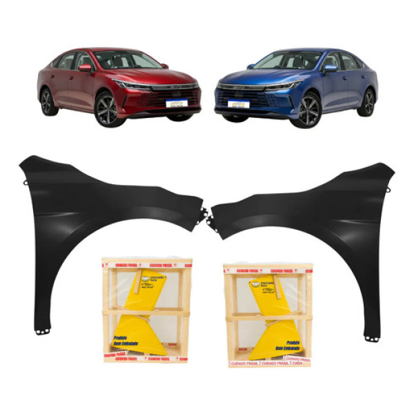 Par Paralama Byd King 2024 2025 2026 2027 Preto Novo