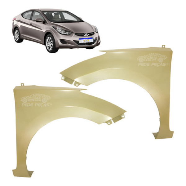 Paralama Elantra 2011 2012 2013 2014 2015 2016 Novo