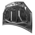 Capu Renault Sandero Stepway 2008 2009 2010 11 12 2013 2014