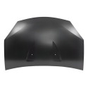 Capu Renault Sandero Stepway 2008 2009 2010 11 12 2013 2014
