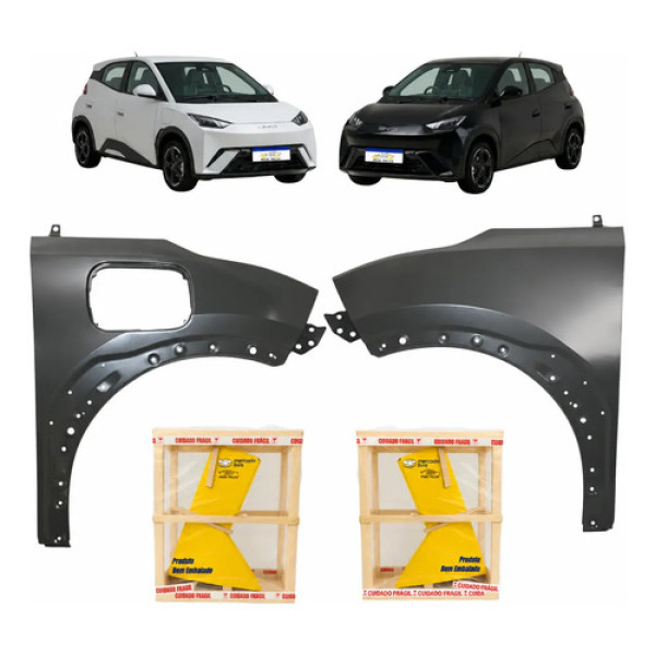 Par Paralama Byd Dolphin Mini 2024 2025 2026