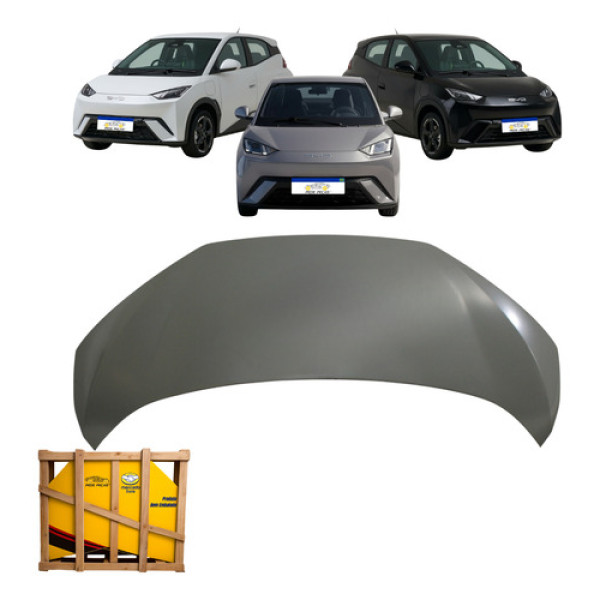 Capu Byd Dolphin Mini 2024 2025 2026 Gs Ev Novo Cinza